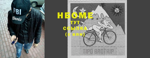 амф Верхний Тагил